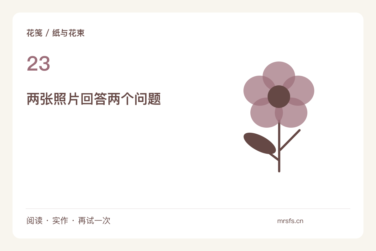拍一束花的正面与侧面，让绑束结构也被看见主题图解