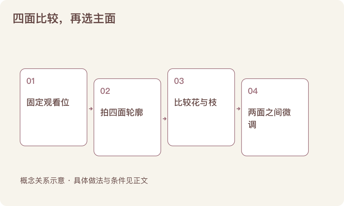 四面比较,再选主面:固定观看位;拍四面轮廓;比较花与枝;两面之间微调