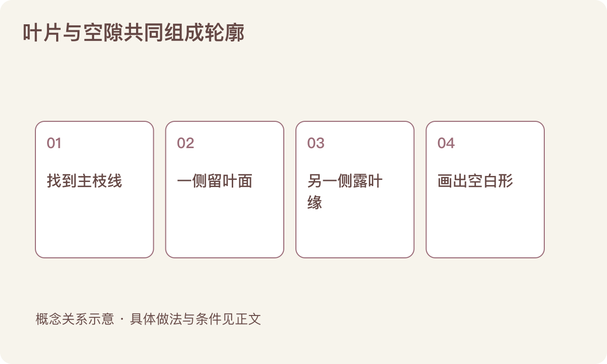叶片与空隙共同组成轮廓:找到主枝线;一侧留叶面;另一侧露叶缘;画出空白形