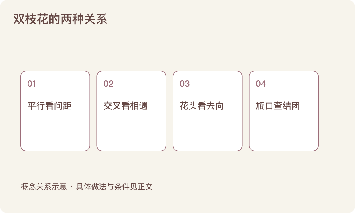 双枝花的两种关系：平行看间距；交叉看相遇；花头看去向；瓶口查结团